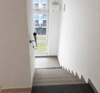 NOVOSTAVBA (2019) + PARKOVANIE | 2-izbový byt 69 m² – Bratislava - Schodisko vo vnútri bytového domu s výhľadom von cez okno.