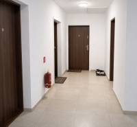 NOVOSTAVBA (2019) + PARKOVANIE | 2-izbový byt 69 m² – Bratislava - Chodba s viacerými dverami a hasiacim prístrojom, 2-izbový byt.