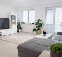 NOVOSTAVBA (2019) + PARKOVANIE | 2-izbový byt 69 m² – Bratislava - Obývacia izba v 2-izbovom byte s rastlinami a nábytkom na podlahe s dreveným dekorom.