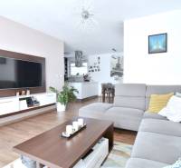 UHLISKÁ, 3-i byt, 80 m2 – zariadená novostavba s parkovaním v cene - Obývacia izba v 3-izbovom byte s podlahou s dreveným dekorom a sivou sedačkou.