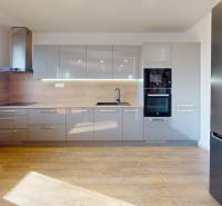 4-IZBOVÁ NOVOSTAVBA Horné Štitáre - Kuchyňa s podlahou s dreveným dekorom, sivými skrinkami a vstavanými spotrebičmi v rodinnom dome.