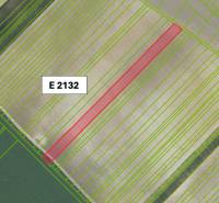 Častá – 966 m2 ORNÁ PÔDA - Predaj - Poľnohospodárske a lesné pozemky v Častej s vyznačenou parcelou E 2132 na mapovom podklade.