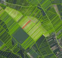 Častá – 966 m2 ORNÁ PÔDA - Predaj - Letecký pohľad na poľnohospodárske a lesné pozemky v Častej s mapovými bodmi.