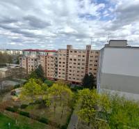 3-izbový byt s loggiou, výborná dispozícia, Jašíkova ulica Bratislava  - Pohľad na bytové domy a zeleň na Jašíkovej ulici v Bratislave, Ružinove.