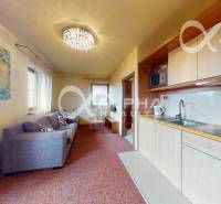 PRENÁJOM 2i apartmán s terasou, parkovaním, Veľká Lomnica - Obývacia časť 2-izbového bytu s kuchynskou linkou, pohovkou a dekoratívnym osvetlením.