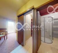 PRENÁJOM 2i apartmán s terasou, parkovaním, Veľká Lomnica - Interiér 2-izbového bytu s kobercom, sklenenou sprchou a drevenými dverami.