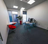Prenájom kancelárií s TERASOU a výborným parkovaním, 264 m2, Ružinov - Interiér kancelárie s počítačovým stolom, červenými stoličkami a dekoratívnou rastlinou.