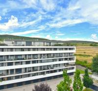 PRI VINOHRADOCH, 3-i byt s veľkými loggiami, 113 m2, RAČANY BIANCO - Bytovka v Bratislave - Rači na ulici Pri vinohradoch s výhľadom na vinohrady.