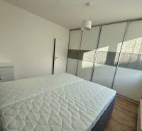  NOVOSTAVBA BORY 2 izbový byt, ul. Hany Ponickej, Bratislava IV. Lamač - Spálňa s posteľou a vstavanou skriňou v 2-izbovom byte, podlaha s dreveným dekorom.