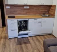 NOVÝ BYT S PREDZAHRADKOU A PARK. STÁTIM - Kuchyňa garsónky s bielymi skrinkami, umývačkou riadu a podlahou s dreveným dekorom.