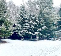 I Investičná príležitosť – Hotel v Modre - Zasnežené stromy a lavičky na Piesku v Modre obklopujú hotely a penzióny.