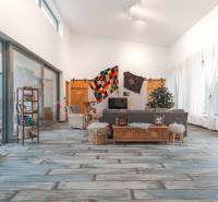 I PREDAJ moderná vila s bazénom a veľkým pozemkom - Obývačka vo vile s podlahou s dreveným dekorom, pohovkou a knižnicou.