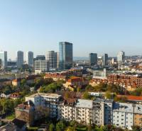 I Exkluzívny prenájom 1-izbového bytu v Zwirne - Panoráma Bratislavy s výhľadom na Košickú ulicu a výškové budovy.
