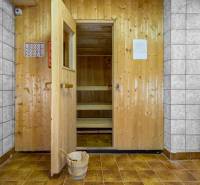 I Predaj bytu v Semmeringu, Rakúsko – výborná investícia - Sauna v 1-izbovom byte s obložením dreveným dekorom a svetlou dlažbou.