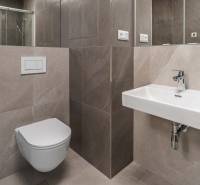 : Nadštandardný 2-i byt v projekte ZWIRN za cenu „štandardu“ - Kúpeľňa v 2-izbovom byte s umývadlom, WC a sprchou.