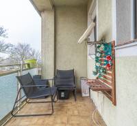 I Na predaj 2-i byt s terasou v Auersthal (Rakúsko) - Balkón 2-izbového bytu v Auersthale na ulici Kirchssen s posedením a kvetinovou dekoráciou.