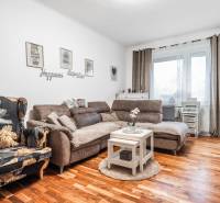 I Na predaj 2-i byt s terasou v Auersthal (Rakúsko) - Svetlá obývačka v 2-izbovom byte s pohovkou, kreslom a podlahou s dreveným dekorom.