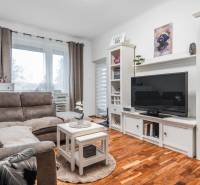 I Na predaj 2-i byt s terasou v Auersthal (Rakúsko) - Obývacia izba v 2-izbovom byte s pohovkou, televízorom a podlahou s dreveným dekorom.