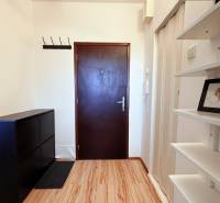 - PRENÁJOM - 1 IZBOVÝ BYT - TOPOĽČIANSKA UL. - PETRŽALKA - Vstupná chodba 1-izbového bytu s podlahou s dreveným dekorom a skrinkou.