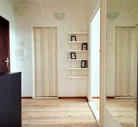 - PRENÁJOM - 1 IZBOVÝ BYT - TOPOĽČIANSKA UL. - PETRŽALKA - V 1-izbovom byte sú police s dekoráciami a podlaha s dreveným dekorom.