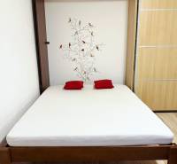 - PRENÁJOM - 1 IZBOVÝ BYT - TOPOĽČIANSKA UL. - PETRŽALKA - Posteľ so stromom na stene a úložným priestorom v 1-izbovom byte.