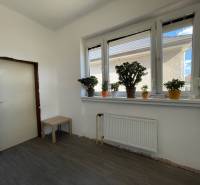 EXKLUZÍVNE - Útulný 3-izbový dom v Čiernom Brode s veľkým pozemkom - Interiér rodinného domu s podlahou s dreveným dekorom, rastlinami na parapete.