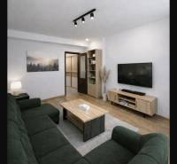 Priestranný 2-izbový byt s potenciálom zmeny dispozície- Šaca - Obývacia izba s podlahou s dreveným dekorom, zeleným gaučom a televízorom v 2-izbovom byte.