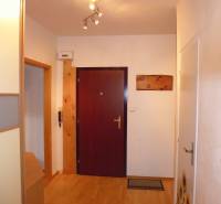 PRENÁJOM: M.NEŠPORA - 2-izbový byt, 58 m2, 7.posch. - Sídlisko III. - Chodba v 2-izbovom byte s podlahou s dreveným dekorom a osvetlením.