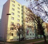 PRENÁJOM: M.NEŠPORA - 2-izbový byt, 58 m2, 7.posch. - Sídlisko III. - Bytový dom v Prešove s chodníkom a stromami.