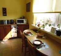 PRENÁJOM: M.NEŠPORA - 2-izbový byt, 58 m2, 7.posch. - Sídlisko III. - Svetlá kuchyňa s dreveným dekorom v 2-izbovom byte plná rastlín.