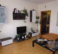 PRENÁJOM: M.NEŠPORA - 2-izbový byt, 58 m2, 7.posch. - Sídlisko III. - Obývačka v 2-izbovom byte s podlahou s dreveným dekorom, policami a rastlinami.