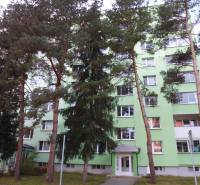 PRENÁJOM: M.NEŠPORA - 2-izbový byt, 58 m2, 7.posch. - Sídlisko III. - Zelená fasáda bytového domu obklopená stromami v meste Prešov ponúka 2-izbový byt.