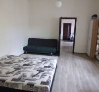 PRENÁJOM: HLAVNÁ - VOĽNÝ 2,5-izbový byt + kuchyňa, kúpeľňa, WC  - Spálňa v 3-izbovom byte s posteľou, pohovkou a podlahou s dreveným dekorom.