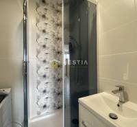 NA PRENÁJOM zrekonštruovaný 2-izb.byt, Kalinčiakova ul., Senica - Kúpeľňa v 2-izbovom byte s moderným sprchovým kútom a kvetinovým dekorom steny.