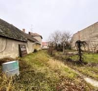 TOP PONUKA !! 3-izb. RD, INVESTÍCIA, Borský Svätý Jur - Stará budova s rozpadnutou strechou a záhrada s divokým porastom, rodinný dom v pozadí.