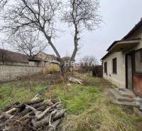 TOP PONUKA !! 3-izb. RD, INVESTÍCIA, Borský Svätý Jur - Záhrada s trávou a starými drevenými polenami, vedľa rodinného domu.