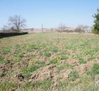 Pozemok v obci Koniarovce v slepej uličke - Pozemok so zeleňou a okolím. Ideálny pre bývanie a relaxačné aktivity.