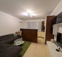 4-izb. byt na ul. Wolkrova, Petržalka, upravený na 2 bytové jednotky - Obývačka v 4-izbovom byte s pohovkou a skleneným stolíkom, podlaha s dreveným dekorom.