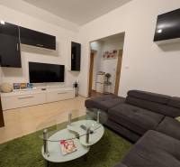 4-izb. byt na ul. Wolkrova, Petržalka, upravený na 2 bytové jednotky - Obývacia izba v 4-izbovom byte s tmavou sedačkou, televízorom a dekoratívnym kobercom.