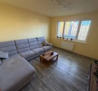 4-izb. byt, Wolkrova, Petržalka, 7.p./8 - Obývačka v 4-izbovom byte s pohovkou, konferenčným stolíkom a podlahou s dreveným dekorom.