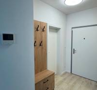 Novostavba 2,5-izb. bytu v NUPPU, garážové státie + vonkajšie státie - Vstupná chodba v 2-izbovom byte s podlahou s dreveným dekorom a vešiakovou stenou.
