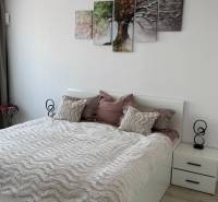 Novostavba 2,5-izb. bytu v NUPPU, garážové státie + vonkajšie státie - Spálňa s posteľou, nočnými stolíkmi a podlahou s dreveným dekorom v 2-izbovom byte.