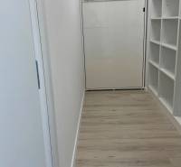 Novostavba 2,5-izb. bytu v NUPPU, garážové státie + vonkajšie státie - Chodba s podlahou s dreveným dekorom a úložným priestorom v 2-izbovom byte.