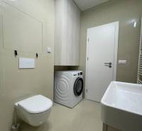 2-izb. byt Bystrická, Devínska Nová Ves, parking, pivnica - Kúpeľňa s práčkou v 2-izbovom byte, minimalistické sanitárne zariadenie a skriňa.