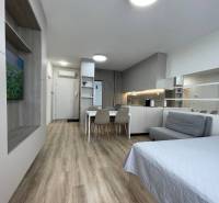 2-izb. byt Bystrická, Devínska Nová Ves, parking, pivnica - Kompaktný 2-izbový byt s otvorenou kuchyňou a jedálenským stolom, drevená podlaha.