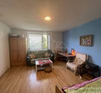 Trojizbový rodinný dom vhodný aj na chalupu v kľudnej časti obce Jatov - Izba v rodinnom dome s podlahou s dreveným dekorom, gaučom a stolíkom.