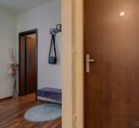 5-izb. byt, Krajinská, Podunajské Biskupice, 2.p./3 - Vstupná hala v 5 a viac izbovom byte s podlahou s dreveným dekorom.