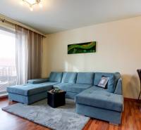 5-izb. byt, Krajinská, Podunajské Biskupice, 2.p./3 - Obývacia izba v 5 a viac izbovom byte s modrou sedačkou a podlahou s dreveným dekorom.