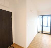 1-izb. byt v novostavbe v Ružinove, 4p./10 - Vstupné dvere a podlaha s dreveným dekorom v 1-izbovom byte.