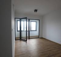 1-izb. byt v novostavbe v Ružinove, 4p./10 - Izba v 1-izbovom byte s podlahou s dreveným dekorom a presklenou stenou.